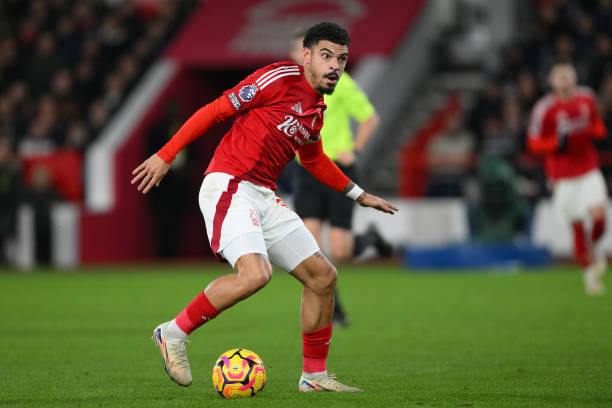 但近年来 但近年来