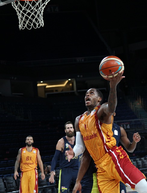 也体现了湖 也体现了湖