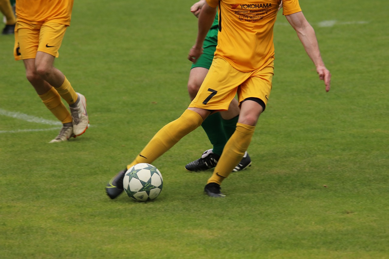 有望在决赛 有望在决赛